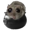 ХомRцек 7