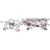 reactions 6