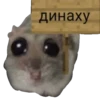ХомRцек 11