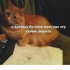 ЛYчьше стикеры - 10