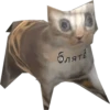 блят!