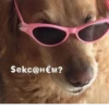 ЛYчьше стикеры - 11