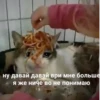 ЛYчьше стикеры - 13