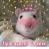 ЛYчьше стикеры - 16