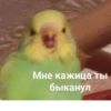 ЛYчьше стикеры - 17