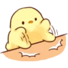 Soft and Cute Chicks (Love) 12
