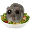 EPNZIUJPVP_by_stikers_du_ark_bot 20