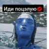 Аватар 5