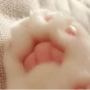 Kitten~ — 17