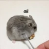 Aaaa — 16
