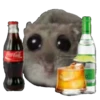 ХомRцек 26