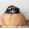 ЛYчьше стикеры - 25