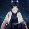 🦋shinobu Mitsuri Kanao🦋 27