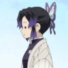 🦋shinobu Mitsuri Kanao🦋 28