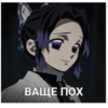 Kimetsu no yaiba_aniflesh 30