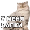 Mmaks_sticker_pack — 6