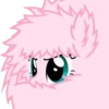 Kekes and Memes — 5