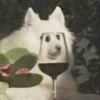 CriNgE AnimALs 5