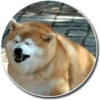 Kekes and Memes — 7