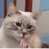 Kekes and Memes — 9