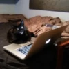 Meow — 8