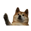 Kekes and Memes — 14