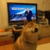 Kekes and Memes — 17