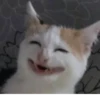 Aaaa — 14
