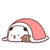 🐻‍❄️ & 🐻 19
