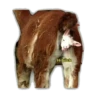 Favorite Sticker by 15