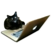 Meow — 23