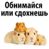 Favorite Sticker by 22