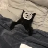 CriNgE AnimALs 24