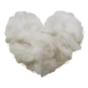 samoyed dog 25