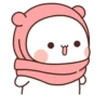 🐻‍❄️ & 🐻 30