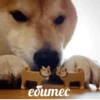 Kekes and Memes — 25