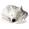 samoyed dog 29