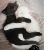 💕 Стики тYт: 30