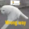 .... Wrong way