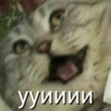 ууииии