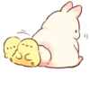 Soft and cute rabbits 5