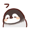 Soft and Cute Chicks Feelings 10