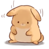 Soft and cute rabbits 7