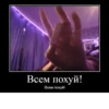SCzcaKq_by_achestickbot 8