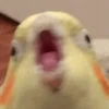 No please no — 8