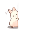 Soft and cute rabbits 8