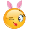 Rudiemoji 5