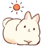 Soft and cute rabbits 9