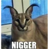 NIGGER