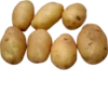 potato 5